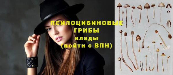 МДПВ Алексеевка