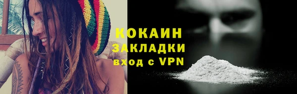 сатива Алзамай