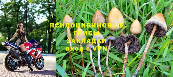 сатива Алзамай