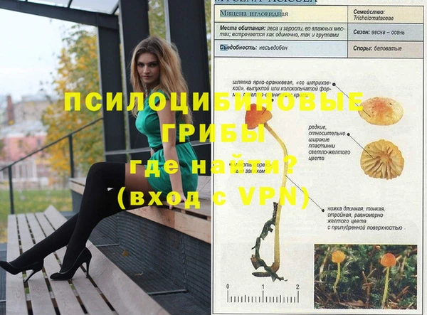 сатива Алзамай