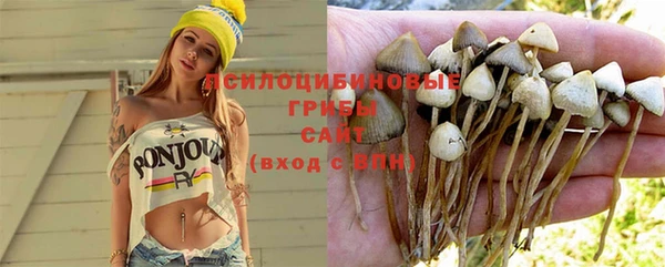 прущие крисы Алексин