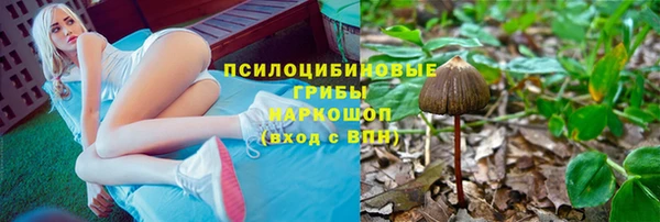 сатива Алзамай