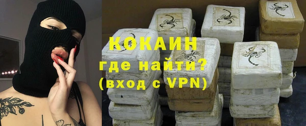сатива Алзамай