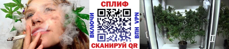 Конопля планчик  блэк спрут ссылки  Чёрмоз  наркотики 
